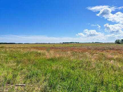 24-07-01 11-02-50 0049